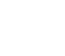 شکل دکوراتیو